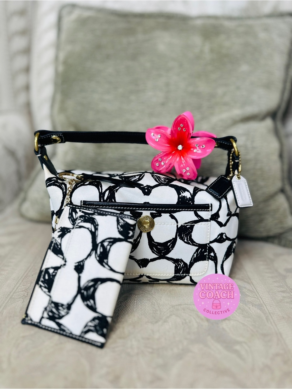 Coach scribble pouch and card case